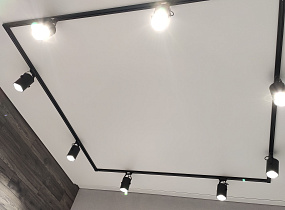 Натяжной потолок с трековыми светильниками - фото 2